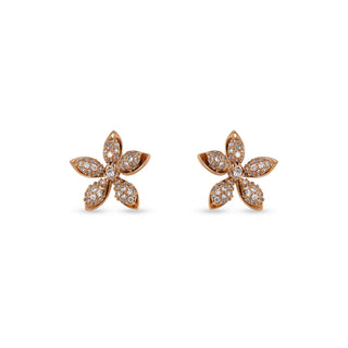 APPLE SEED TARA 18K GOLD DIAMOND EARRINGS