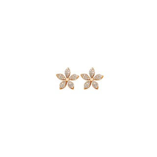 APPLE SEED GOLD DIAMOND EARRING